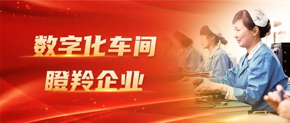 永利国际棋牌app